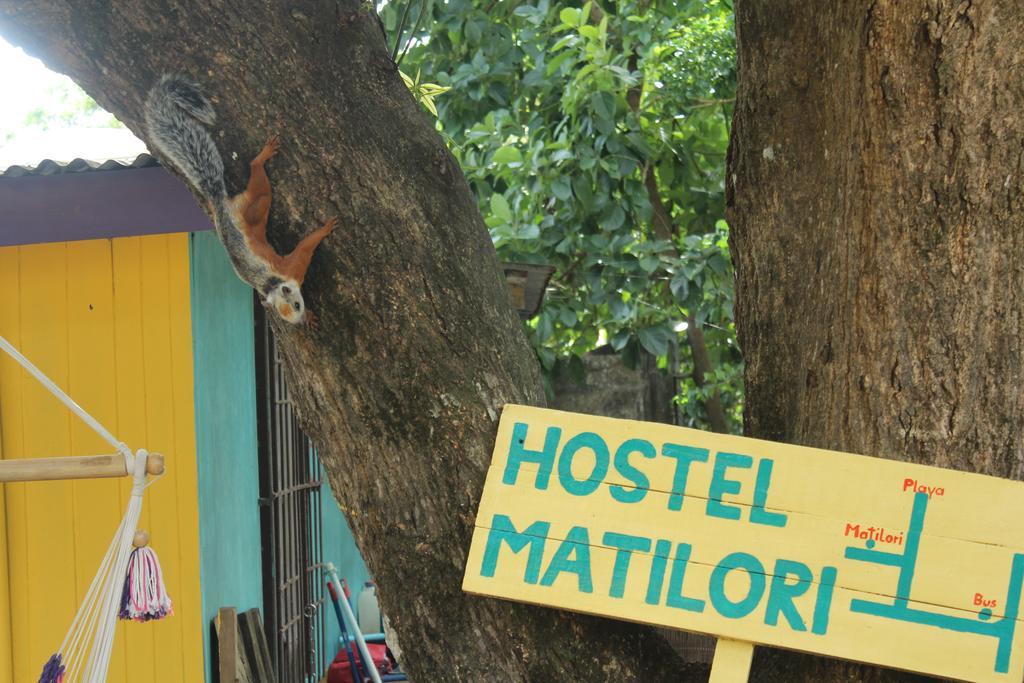 Hostel Matilori Sámara Extérieur photo